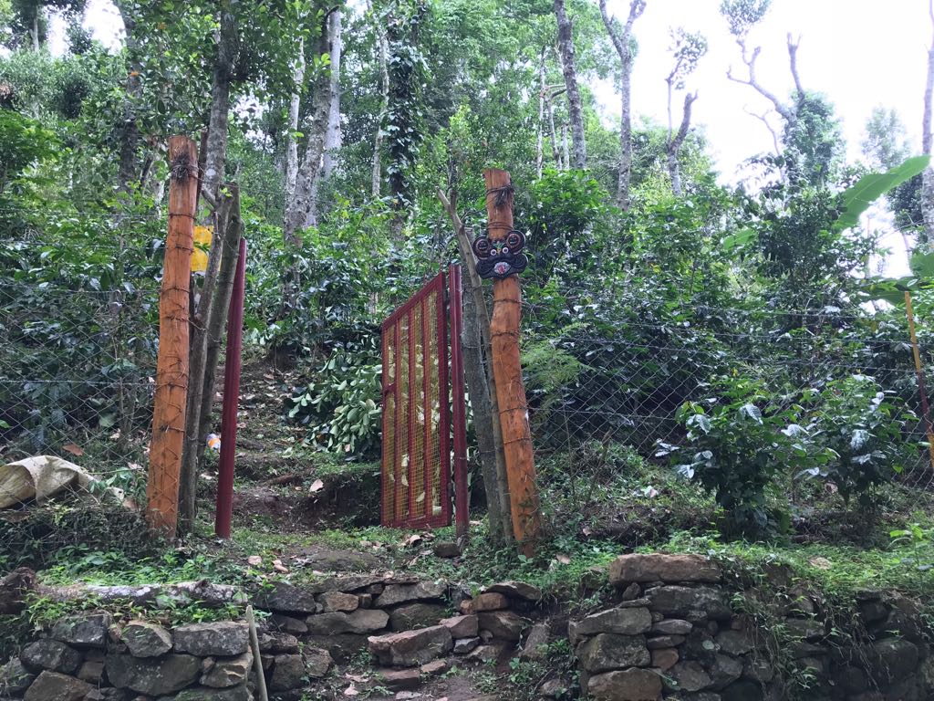 Pillar Coffee Estates